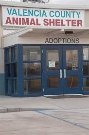 Dog adoption clinics are temporarily suspended. Animal Control Valencia County Nm