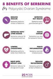 8 Benefits Of Berberine For Pcos In 2020 Pcos Pcos Awareness Polycystic Ovarian Syndrome