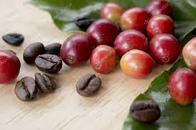 Coffee Berry And Coffee Beans On Wooden Panel Stock Photo Sponsored Coffee Beans Coffee Berry Ad Coffee Beans Berries Free Coffee