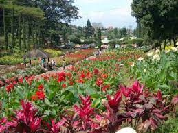 Berbagai Pilihan Paket Wisata Daerah Bandung Selatan 2 Hari 1 Malam Kebun Bunga Foto Wisata Taman Indah