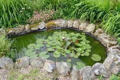 Torf pellets gegen algen im gartenteich 5 liter 36308*. Algen Im Teich So Werden Sie Das Wasserunkraut Los