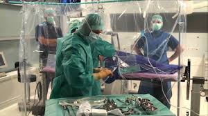 Check spelling or type a new query. Spinal Center Intervertebral Disc Operation Apex Spine 2021