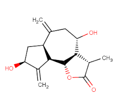 Image result for Commiphora fulvotomentosa