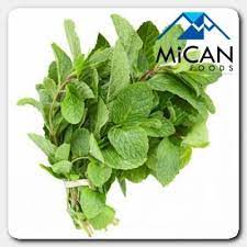 Tidak perlu mengeluarkan batangnya, tetapi buang daun licin atau gelap, kerana ini mungkin busuk. Purchase Wholesale Mint Leaf Daun Pudina 800g Per Unit From Trusted Suppliers In Malaysia Dropee Com