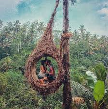 The movies on this list will feed anyone's wanderlust and encourage you to book a flight to new orleans — or maybe somewhere as far away as tokyo. Travel To Travel Indonesia Traveling To Bali Indonesia Travel Fun Amazing Adventures Bali Travel