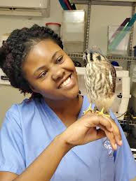 Carolina Waterfowl Rescue...