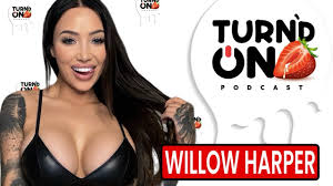 PORN AWARDS VEGAS, Willow Harper, Naughty ASMR - YouTube