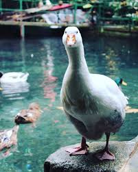 264 Begenme 0 Yorum Instagram Da 07 Turizm 07turizm 22 12 2019 Pazar Gunu Bitmesini Hic Istemedigimiz 2365 M Tahtali Teleferik Yanartas Olymp In 2020 Animals