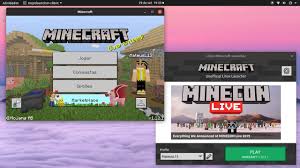 Also known as minecraft for windows 10; Como Instalar O Minecraft Bedrock Edition Mcpe No Ubuntu Youtube