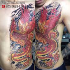 Loài cá này sinh sống ở nhiều nơi, thường có mặt ở các ao hồ, sông có rất nhiều vị trí hình xăm cá chép khác nhau ví dụ như lưng, trước ngực, bả vai, cánh tay, bắp chân cho cả nam lẫn nữ. Ghim Tren Tam Knightz Tattoo
