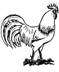 Rooster And Hen Coloring Pages Google Search Farm Animal Coloring Pages Cow Coloring Pages Animal Coloring Pages