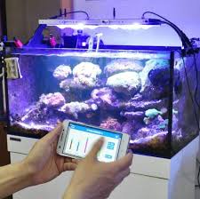 Ikan hias merupakan julukan ikan yang memiliki keindahan yang tidak dimiliki ikan lain, biasanya. Pin On Aquarium Air Laut