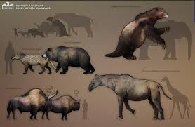 Wwf is committed to saving endangered species. Extinct Animals On Twitter Extinct Megafauna Size Comparison To Living Animals Credit Prehistoric Kingdom