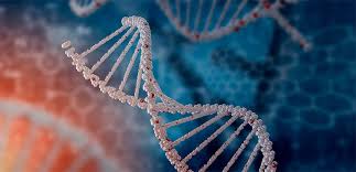 Nuestra Primera Página” en la promoción de la búsqueda de la identidad de origen por medio de pruebas de ADN | 03442 | NOTICIAS