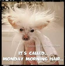 You will get back to the work after these awesome memes for work. 20 Sweet Romantic Good Morning Monday Meme Loveimageswallpaper