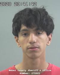 Men walked through Ogden neighborhood and burned American flags, police say