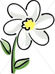 Black And White Daisy Clipart Flowers White Daisy With Yellow Church Flower Clipart Daisy Drawing Rock Painting Pictures Flower Clipart