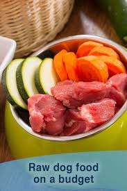 Raw Dog Food On A Budget Two Diy Raw Dog Food Recipes Raw Dog Food Diet Raw Dog Food Recipes Dog Raw Diet