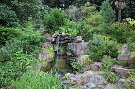 Le Jardin Des Plantes Et Le Jardin Botanique De Caen 14