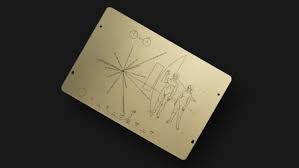 Image result for pioneer plaque