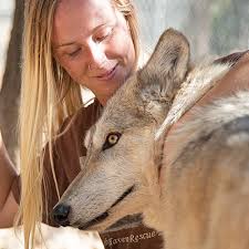 What Wolves Can Teach Us About Leadership & Teamwork