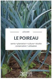 Epingle Sur Jardin