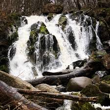 Bornholm.nu er øens mest besøgte nyhedssite med over 16.000 forskellige læsere på hverdage. Kleine Starthilfe Furs Online Bornholm Retreat Bornholm My Love