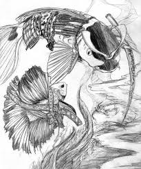 Pengambilan ikan sendiri kat johor jaya. Battle Betta Vs Samurai Koi By Krazykelli On Deviantart