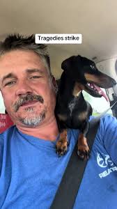 Coping with Loss and Spreading Positivity with Brian's Message