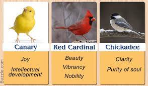 Pretty Enthralling Bird Symbolism And Their Meanings Animal Symbolism Animal Meanings Animal Spirit Guides
