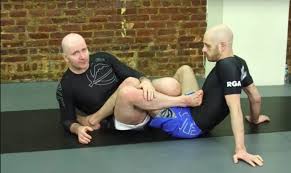 John Danaher Dvd Instructional Leg Locks Enter The System