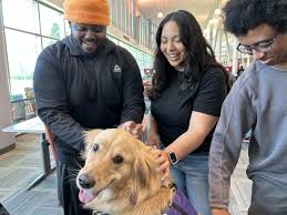 Los Medanos College de-stresses with therapy dogs