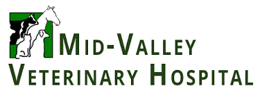 It is our privilege to care for you and your pets, so call today to learn about our services or schedule an appointment. Veterinarian In Orland Ca Mid Valley Veterinary Hospital