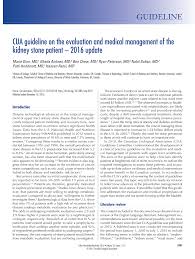 Pdf Cua Guideline On The Evaluation And Medical Management Of The Kidney Stone Patient 2016 Update