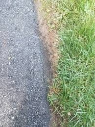We did not find results for: Can T Edge With Edger The Lawn Forum