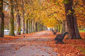 7 Places To See Gorgeous Autumn Leaves In London | Londonist