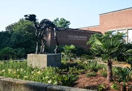From annuals to seasonal decor, our center staff can help you outfit your garden. Explore Knoxville S Museums Galleries Exhibits Art Centers