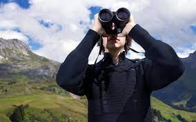 Check spelling or type a new query. The Best Binoculars For Bird Watching The Telegraph
