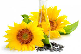 Olej słonecznikowy - Właściwości, zastosowanie, skład - Zdrowie i ...