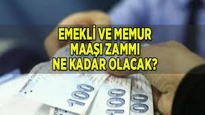 Şimdiye kadar açıklanan ilk 4 ayın enflasyon oranı belli olmuştu. Emekli Maasi Zammi Ne Kadar Olacak 2021 Memur Maasi Zammi Belli Oldu Mu Son Haberler Milliyet