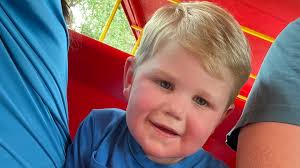 Fundraiser for Cornelius Pisciotto by Meg Olsson : Pisciotto Family  Recovery from Hurricane Ian