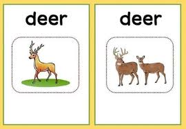 Pin By Naveen Kumar On Singular And Plural For Kids In 2020 Plurals Singular Nouns Singular And Plural