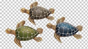 The turtle shell is a highly complicated shield for the ventral and dorsal parts of turtles (the order testudines), completely enclosing all the vital organs of the turtle and in some cases even the head. Loggerhead Sea Turtle Reptile Turtle Shell Png Clipart Animal Caretta Ceramic Decorative Figures Emydidae Free Png