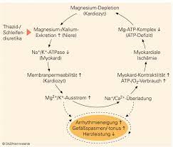 Vor allem eine magnesiumarme ernährung kann schnell zu leeren speichern und mangelerscheinungen führen. Magnesium Und Das Herz Kreislauf System