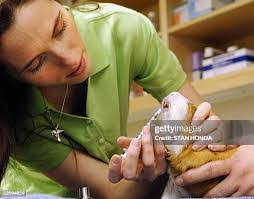 George Persyn's Instagram, Twitter & Facebook