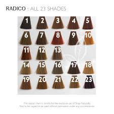 Radico Colour Me Organic Hair Colour