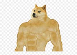 Here is a list of png images for use by the community. Doge Dogge Strong Buff Meme Shitpost Nobackground Swole Doge Hd Png Download Vhv
