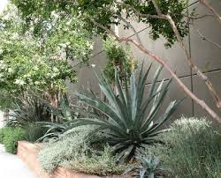 Check spelling or type a new query. Which Plants Will Improve The Appearance Of Retaining Walls