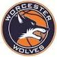 Double Worcester Wolves Womens & Mens (See game event image