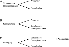 Find sexual transmission latest news, videos & pictures on sexual transmission and see latest updates, news, information from ndtv.com. Proposed Evolutionary Transitions Between Sexual Patterns Within The Download Scientific Diagram